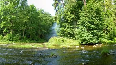 تراجع مساحات غابات الأمازون يفقدها دورها في إيجاد التوازن المناخي