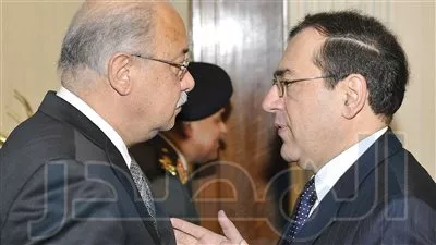 تشكيل لجنة لدراسة المشروعات المتاحة في 