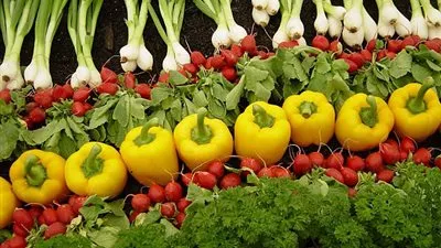 وزير الزراعة القبرصي: بدء التعاون مع مصر في عدة مجالات خلال يناير 