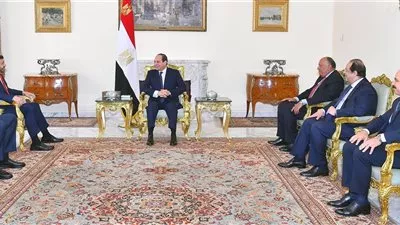السيسي يناقش مع وزير الخارجية الإماراتي تطورات منطقة الخليج