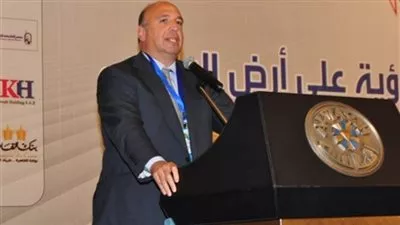 أحمد هيكل: الاقتصاد المصري يشهد تحسنا ملحوظا بسبب برنامج الإصلاح
