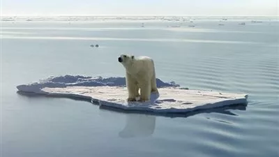 دور جبال الجليد القطبية في إبطاء الاحتباس الحراري