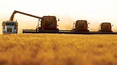 مصر تستورد 3,2 مليون طن قمح روسي خلال 6 أشهر