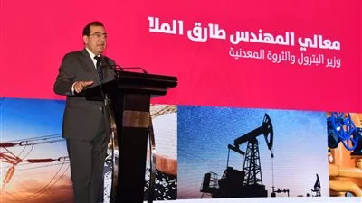 مصر تحصل على 1,13 مليار دولار من المؤسسة الإسلامية لتمويل التجارة