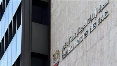 نمو استثمارات البنوك الإماراتية فى مصر إلى 43,4 مليار درهم 