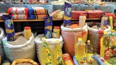 انخفاض واردات مصر من السلع الأساسية بنحو 3% في عام 2017