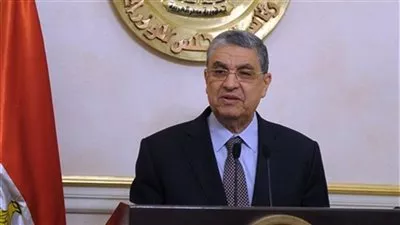 وزير الكهرباء يبحث مع عدد من الشركات الإيطالية سبل التعاون المشترك