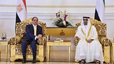 السيسي يبحث مع نائب رئيس الامارات مكافحة الإرهاب وتعزيز سيادة دول المنطقة