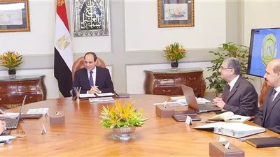 السيسى يوجه باستكمال تطوير منظومة الكهرباء فى مصر بأعلي المعايير الدولية