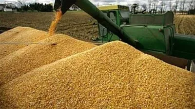 ميناء الإسكندرية يستقبل 34 ألف طن قمح من أوكرانيا 