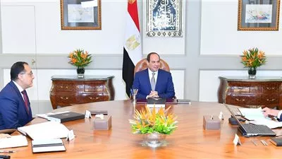 السيسي يبحث الموقف التنفيذي لمشروعات التعليم العالي والبحث العلمي