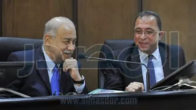 وزير التخطيط: الأسابيع القادمة تشهد الإطلاق الرسمي لاستراتيجية التنمية المستدامة