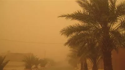 شلل تام بمحافظة الشرقية بسبب العواصف والأتربة