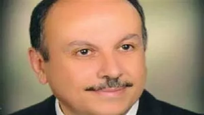 نائب وزير التعليم العالي يبحث إمكانية التعاون مع اليابان في مجال العلوم