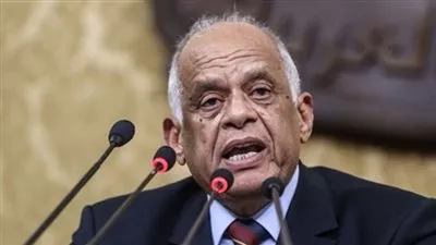 رئيس مجلس النواب يعرب عن تقديره لدعم البرلمانين الدولي والعربي لمصر