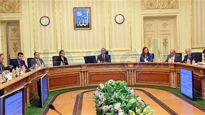 نيفين جامع: ضخ تمويلات بقيمة 2,8 مليار جنيه خلال النصف الأول من 2019