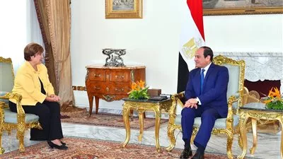 السيسي يبحث مع البنك الدولي فرص التعاون التنموي في أفريقيا