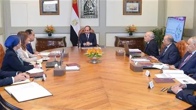 السيسي يستعرض الموقف التنفيذي لبرنامج تنمية الصعيد بقيمة 18 مليار جنيه