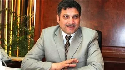 شركتان فرنسيتان تقدمان عرضًا فنيًا بخصوص تأثيرات سد النهضة