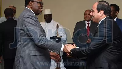 بالصور.. الرئيس يلتقي عددًا من قادة دول إفريقيا