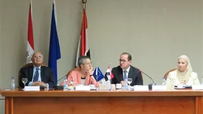 نائب وزير المالية: استكمال الإصلاحات الهيكلية للنهوض بالاقتصاد القومى