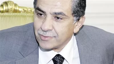 البيئة تدرس إنشاء أول مزرعة لتربية التماسيح