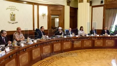 تخصيص 341,8 فدان لإقامة محطتي توليد كهرباء شمال غرب خليج السويس