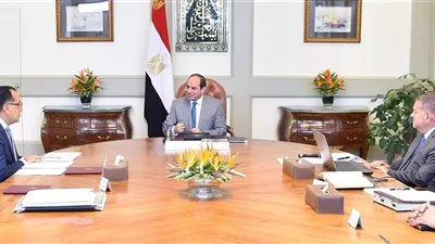 السيسي يستعرض مستجدات خطة إصلاح وتطوير شركات قطاع الأعمال العام