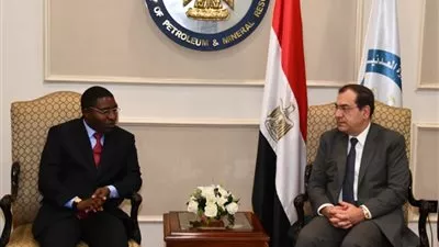 «الملا» يبحث مع وزير الطاقة التنزانى أوجه التعاون المشترك