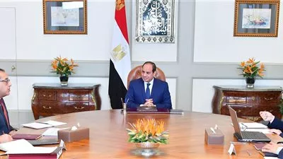 السيسي يوجه بالانتهاء من تنفيذ المشروعات الجديدة للطاقة الكهربائية