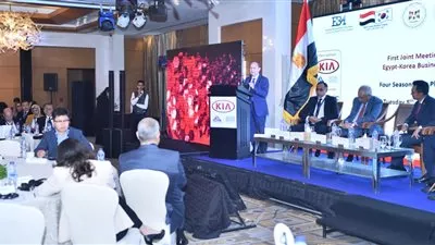 «نصار»: 2,16 مليار دولار حجم التبادل التجاري بين مصر وكوريا خلال 2018