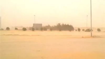 عواصف ترابية تضرب الوادي الجديد وتتسبب في انعدام الرؤية على الطرق