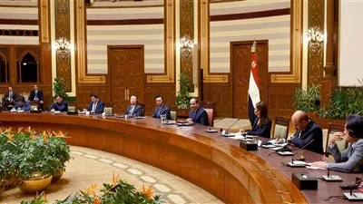 السيسي يستقبل وفداً رفيع المستوى من المستثمرين الكوريين الجنوبيين