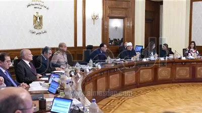 الحكومة تتعاقد مع استشاري خارجي للمرحلة الثانية من محطة الضبعة