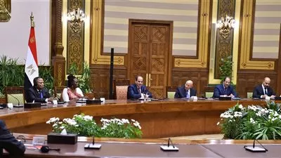 السيسي يلتقى رؤساء وفود المؤتمر الـ 12 لشبكة حقوق الإنسان الأفريقية
