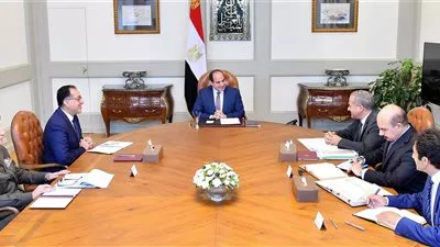 السيسي يوجه بضبط الأسواق وحماية المستهلك ومكافحة الاحتكار والغش التجاري
