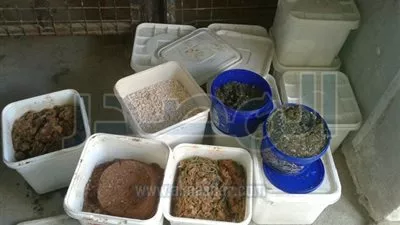 ضبط لحوم ودواجن غير صالحة للاستهلاك بمطعم في الغردقة