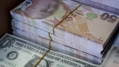 الليرة التركية تصل لأدنى مستوياتها أمام الدولار