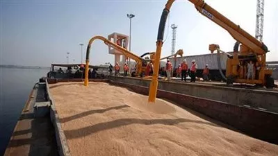 الحكومة تتوقع استيراد 7 ملايين طن قمح خلال العام 2019/2018