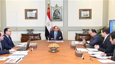 السيسي يوجه بضغط البرنامج الزمني لتطوير المنظومة الضريبية