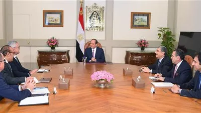 الرئيس السيسي يبحث مع شركة 
