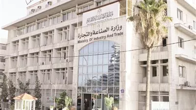 وزارة الصناعة: نقدم الدعم الكامل لتنمية وتطوير الصناعات الكيماوية