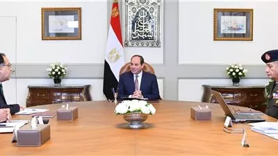 السيسي يبحث إجراءات مكافحة الإرهاب وتطورات مفاوضات سد النهضة