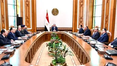 مجلس الأمن القومي يستعرض تطورات الأزمة الليبية ومفاوضات سد النهضة