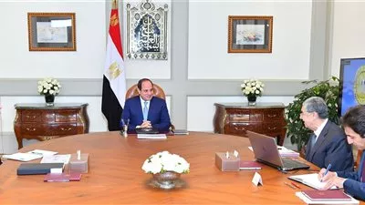 السيسي يوجه بسرعة تنفيذ مشروعات الربط الكهربائي مع دول الجوار
