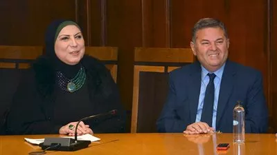 إنشاء منصة إلكترونية لتسويق المنتجات المصرية بالأسواق الافريقية