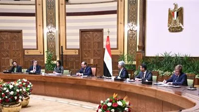 السيسي يستقبل وفدا من أعضاء مجلس المديرين التنفيذيين للبنك الدولي
