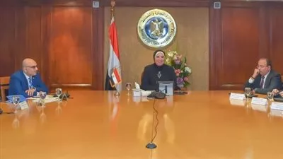 وزيرة الصناعة تبحث تطورات برنامج الشراكة مع اليونيدو
