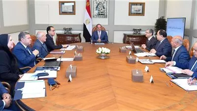 السيسي يوجه بإنشاء مركز إقليمي لصناعة السيارات الكهربائية في مصر