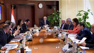 الحكومة تشتري أول 200 ميجاوات كهرباء منتجة بالطاقة الشمسية